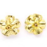 AROS CAMELIA