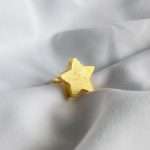 Anillo Ters