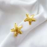 Aros Starfish